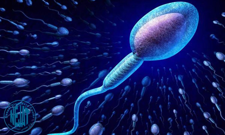 چه عاملی عمر اسپرم ها را تعیین می کند؟