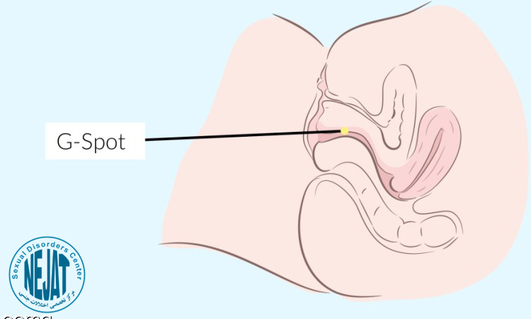نقطه جی و سلامت جنسی زنان